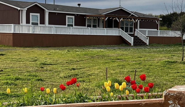 The Clubhouse