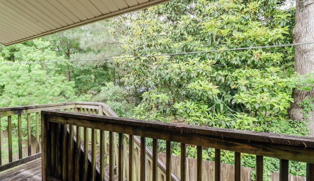 The Colonial Cove: Your Relaxing Gulfside Getaway