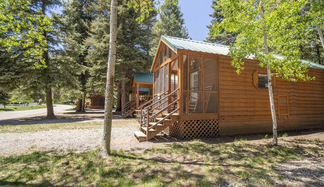 The Colorado Spruce Cabin #15
