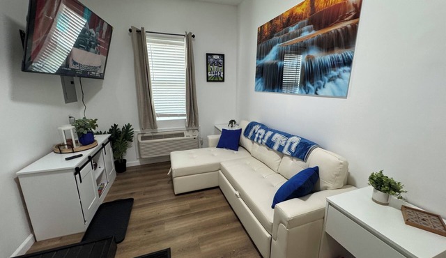 “The Colt” Newly Furnished 1 bedroom house near BSU