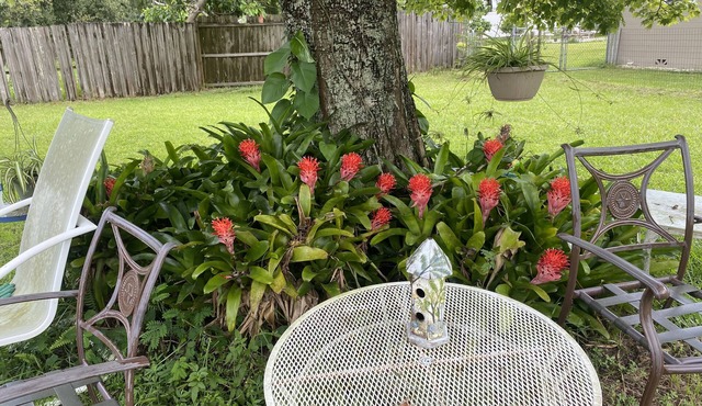 The Compass Cottage: A Cheerful 1 Bed /1 Bath