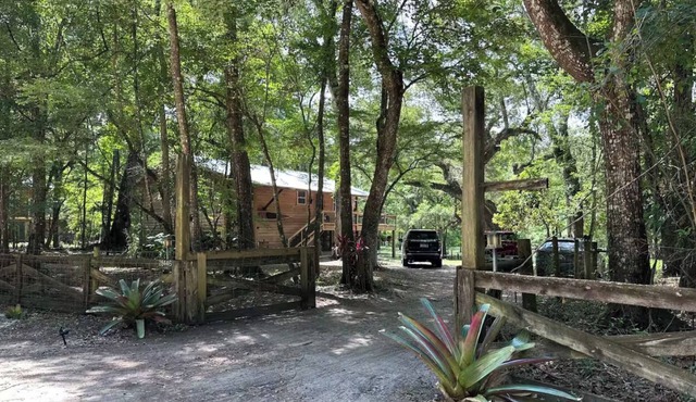 The Confluence Cabin: Float the Ichetucknee for free right to our dock.