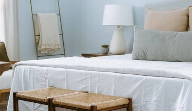 The Congaree Cottage