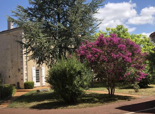 The Cool Lounge à Coulonges - Charente