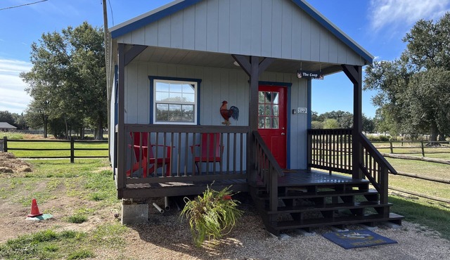 The Coop. A lil taste of country with horses and chickens.