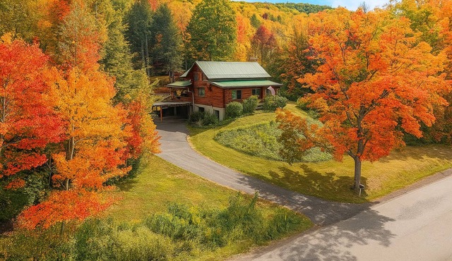 The Cooperstown Cabin, 8min to All Star Village, 15min to Dreams Park, Sleeps 10