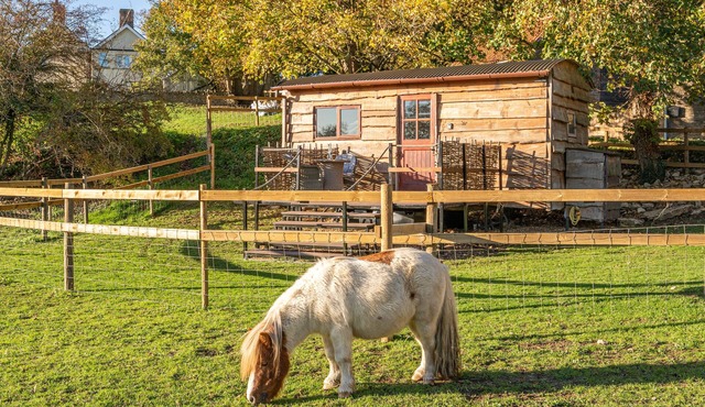 The Cosy Goose - Shepherds Hut