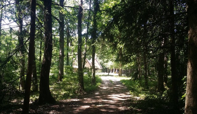 The cottage in the heart of the forest