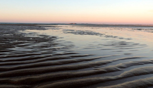 The Cottage-100m to beach, dog friendly,check last available dates