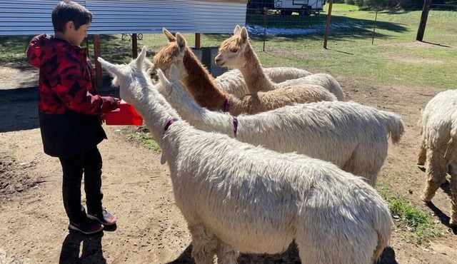 "The Cottage" at Deer Valley Alpaca Farm