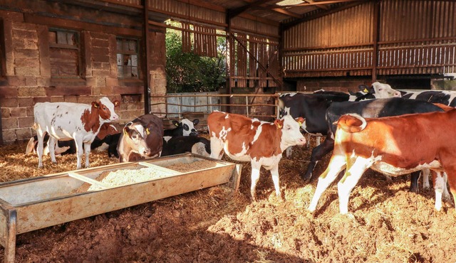 THE COTTAGE, family friendly, character holiday cottage in Belper