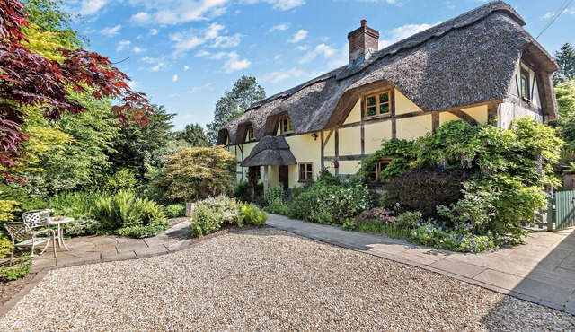 The Cottage: Idyllic New Forest Thatched Cottage 5 Bedrooms