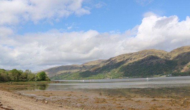 The Cottage In The Woods