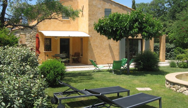 The cottage 'Les Euphorbia' . olive trees, . cicadas, Provence .