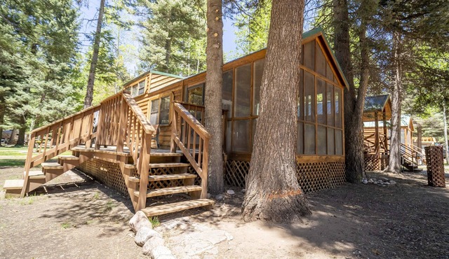 The Cottonwood Cabin #17