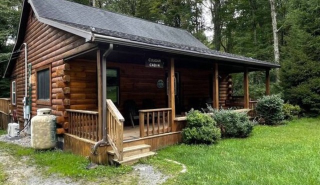 The Cougar Cabin w/King Bed