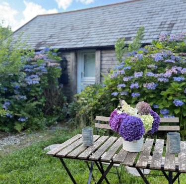 The Country club - Woodland cabin