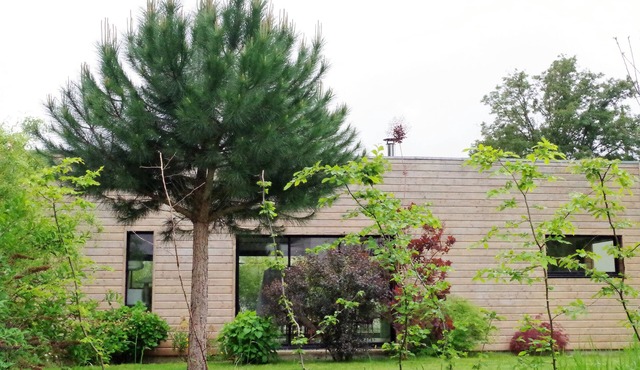 The countryside in the city!