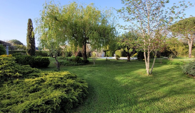 The countryside in the city center, swimming pool, large garden, quiet.