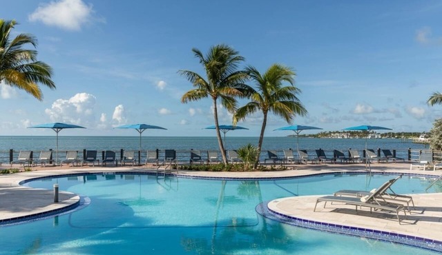 The Cove, Age 21 Plus, Junior Suite, 1 King, Ocean view, Balcony