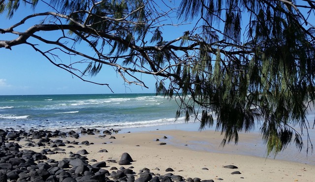 The Cove Oceanfront Retreat, Upstairs Apartment - Pet friendly