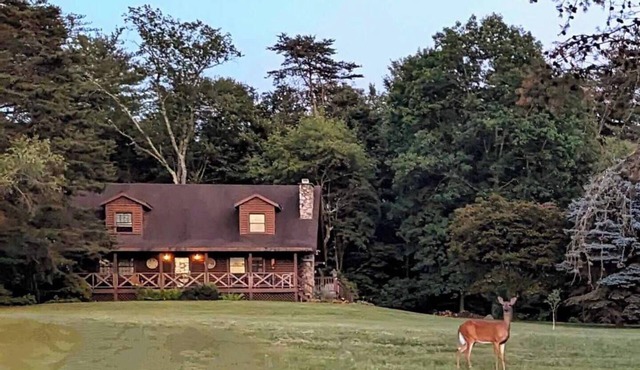 The Cozy Cabin, 4 BR, 2 bath home on 5 private acres in NE PA. Family Friendly!