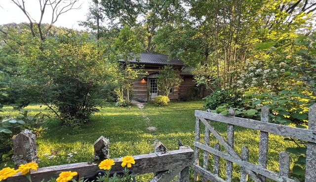 The Cozy Cabin – A Historic Chestnut Log Haven in the Holler