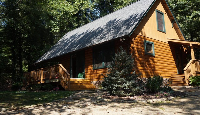 The Cozy Cabin In Black Mountain