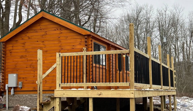 The Cozy Cabin: Mountain Escape at Snowshoe, WV - Brand New!