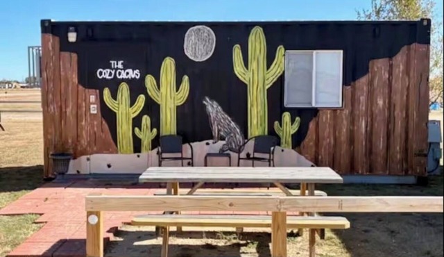 The Cozy Cactus I Cozy Getaway in Silverton, TX