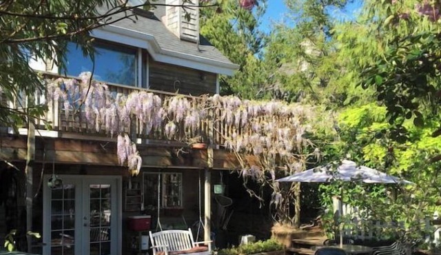 The Cozy Cottage-No cleaning Fee-Hot Tub-Dogs OK- EV charging