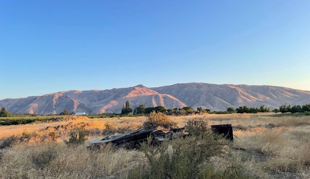 THE COZY COUNTRY ORCHARD COTTAGE