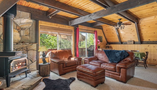 The Cozy Cub: Air Conditioning, Dog Friendly, Pool Table, Private Lakes in BLS