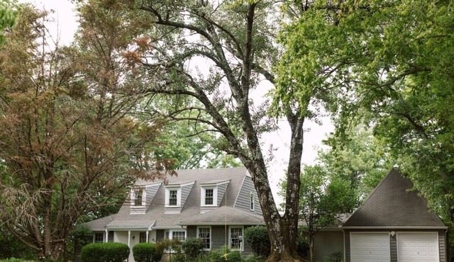 ~ The Cozy Farmhouse ~ | Sleeps 10+ | Farm Views