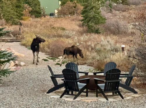 The Crestview Cabin Hot Tub & Alpine Views