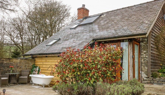 THE CWTCH, pet friendly, with open fire in Llanbister