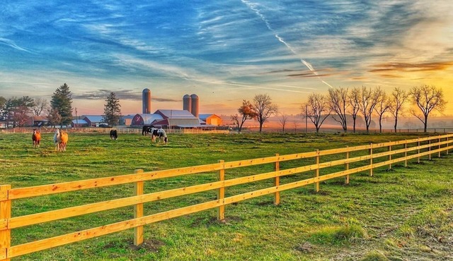 The Dairy at the Wegmueller Farm - stay on a Wisconsin farm!