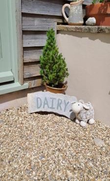 The Dairy at Wyke Farm