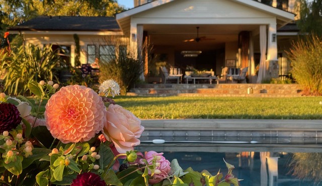 The Dalya Estate- features 2 renovated homes, located on a small vineyard estate