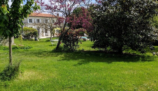 the damsels charming house