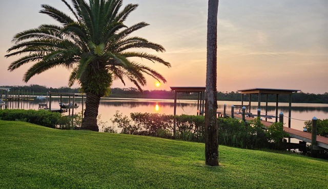 The Dancing Dolphin Retreat