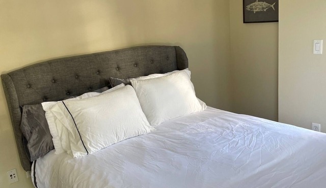 The Delano: Retro-chic, spacious, secure in ♥️ of Downtown SM near Nike Store