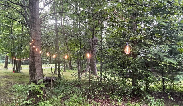 The Den: a cozy, rustic cabin in Kane off the beaten path near prime ATV trails