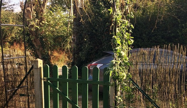 The den (bis) of the werewolf