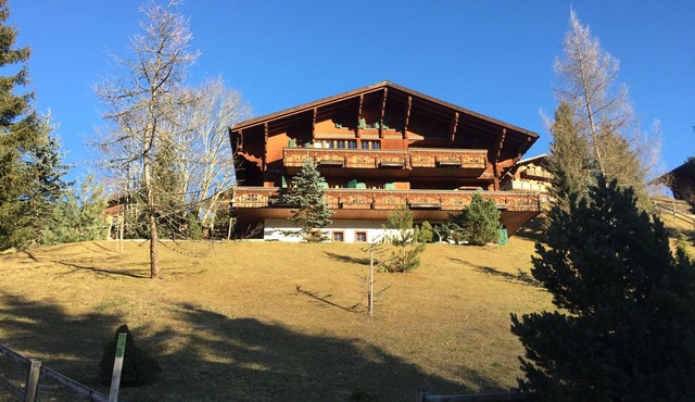The Diablerets- Chalet Mamina