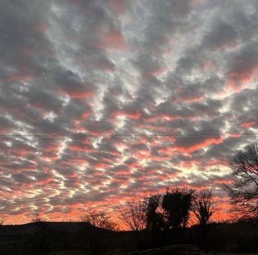 The Dizzy Duck Stable Barn