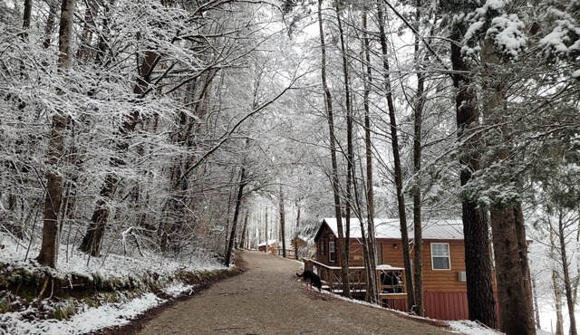 "The DogHouse" a Pet Friendly Cabin on a 70 ac horse farm near Fall Creek Falls!