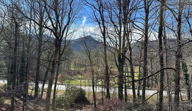 The Dogwood condo is located in the heart of Sapphire Valley with WiFi, AC
