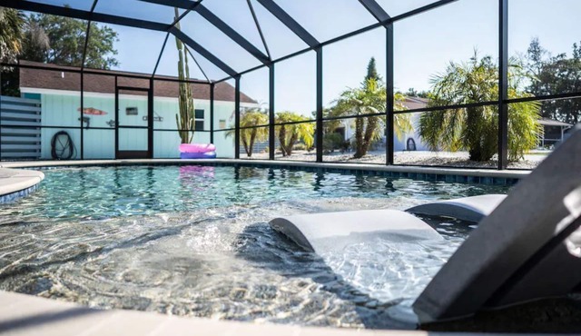 The Dolphin