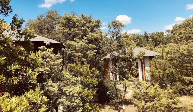 The Domaine des Sens in the heart of the Cévennes scrubland